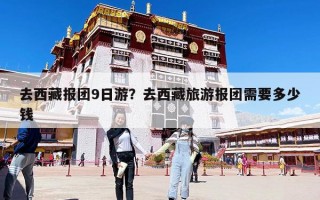 去西藏報(bào)團(tuán)9日游？去西藏旅游報(bào)團(tuán)需要多少錢