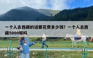 一個人去西藏的話要花費多少錢？一個人去西藏5000夠嗎
