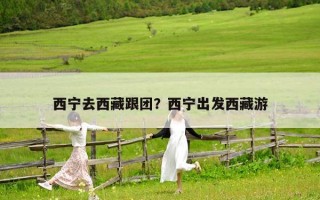 西寧去西藏跟團(tuán)？西寧出發(fā)西藏游