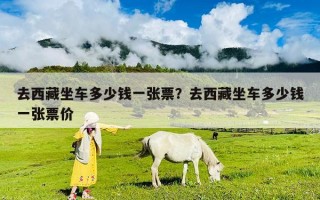 去西藏坐車多少錢一張票？去西藏坐車多少錢一張票價(jià)