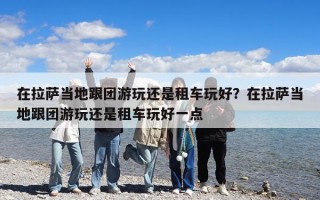 在拉薩當(dāng)?shù)馗鷪F游玩還是租車玩好？在拉薩當(dāng)?shù)馗鷪F游玩還是租車玩好一點