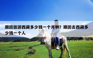 跟團旅游西藏多少錢一個月??？跟團去西藏多少錢一個人