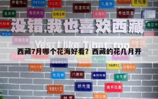西藏7月哪個花海好看？西藏的花幾月開
