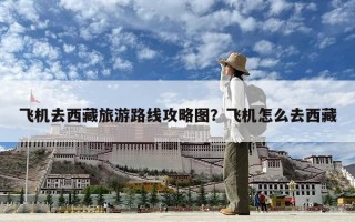 飛機去西藏旅游路線攻略圖？飛機怎么去西藏