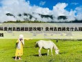 從貴州去西藏旅游攻略？貴州去西藏走什么路線