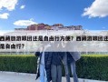 西藏旅游跟團還是自由行方便？西藏游跟團還是自由行?