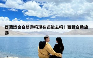西藏適合自助游嗎現(xiàn)在還能去嗎？西藏自助旅游