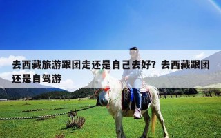 去西藏旅游跟團(tuán)走還是自己去好？去西藏跟團(tuán)還是自駕游