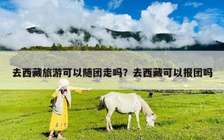 去西藏旅游可以隨團走嗎？去西藏可以報團嗎