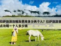 拉薩旅游攻略及費(fèi)用多少兩個人？拉薩旅游景點(diǎn)攻略一個人多少錢
