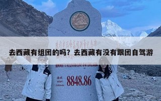 去西藏有組團(tuán)的嗎？去西藏有沒有跟團(tuán)自駕游