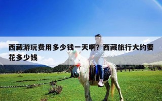 西藏游玩費用多少錢一天啊？西藏旅行大約要花多少錢