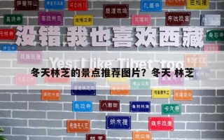 冬天林芝的景點推薦圖片？冬天 林芝