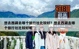 想去西藏去哪個旅行社比較好？想去西藏去哪個旅行社比較好呢