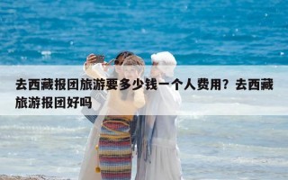 去西藏報團旅游要多少錢一個人費用？去西藏旅游報團好嗎