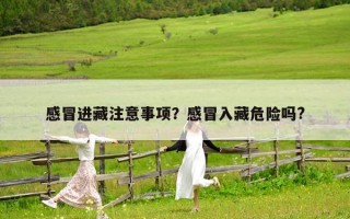 感冒進(jìn)藏注意事項(xiàng)？感冒入藏危險(xiǎn)嗎?