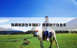 西藏旅游包車領隊？西藏旅行社包車