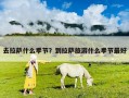 去拉薩什么季節？到拉薩旅游什么季節最好