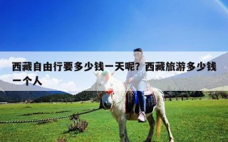 西藏自由行要多少錢一天呢？西藏旅游多少錢一個人