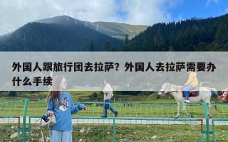 外國人跟旅行團去拉薩？外國人去拉薩需要辦什么手續