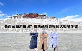 去西藏旅游報(bào)團(tuán)？去西藏旅游報(bào)團(tuán)大概多少錢