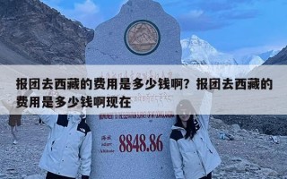 報團去西藏的費用是多少錢啊？報團去西藏的費用是多少錢啊現在