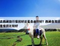 去西藏旅行報團好還是自由行好？西藏自駕還是報團比較好