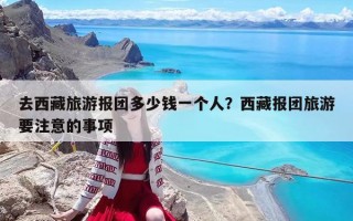 去西藏旅游報團(tuán)多少錢一個人？西藏報團(tuán)旅游要注意的事項