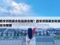 西安到西藏自助旅游攻略？西安到西藏自助旅游攻略圖