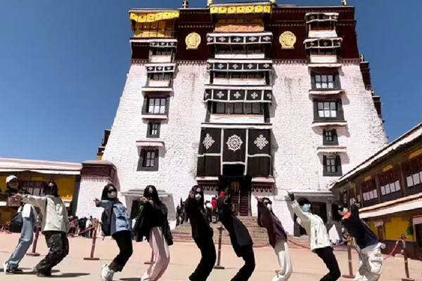 西藏旅游團七日游報價多少