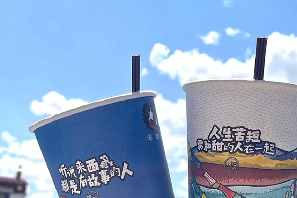 去西藏需要花多少錢(qián)