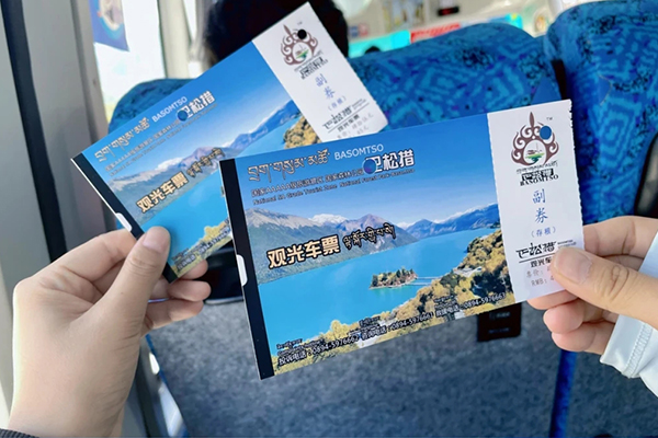 去林芝旅游大概需要多少錢