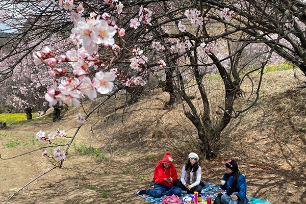 兩人到西藏要花多少錢