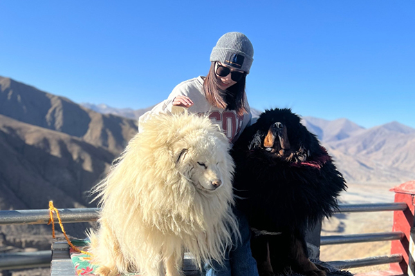 拉薩旅游5天大概要好多錢