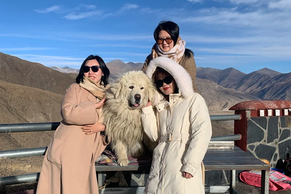 去拉薩旅游7天費用要多少